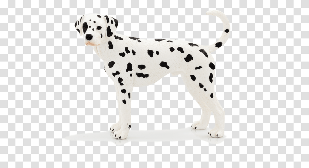 Animal Planet Dalmatian, Pet, Canine, Mammal, Dog Transparent Png