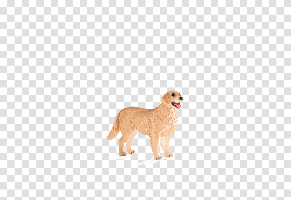 Animal Planet Golden Retriever, Dog, Pet, Canine, Mammal Transparent Png