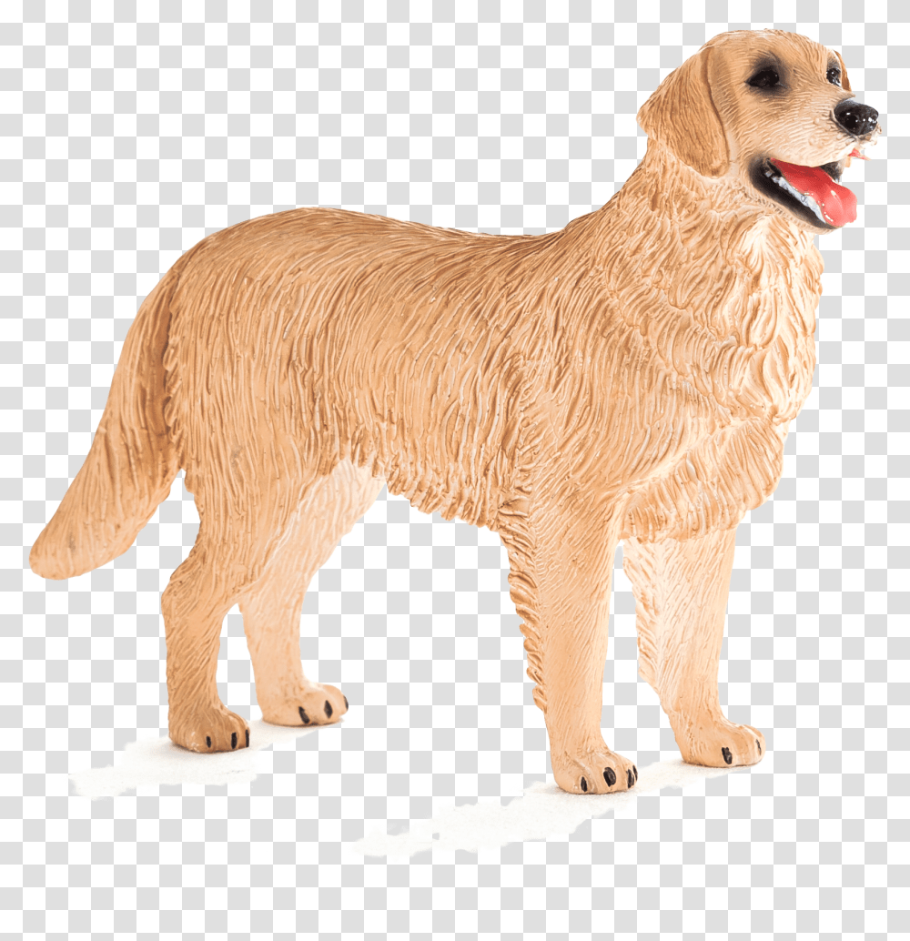 Animal Planet Golden Retriever Elephanta Elephanta Golden Retriever, Dog, Pet, Canine, Mammal Transparent Png