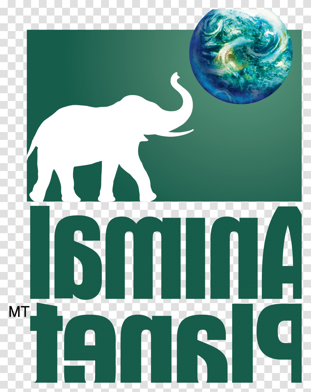 Animal Planet Indian Elephant, Poster, Advertisement, Outer Space, Astronomy Transparent Png