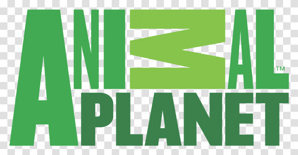 Animal Planet Logo 2008, Home Decor, Alphabet Transparent Png