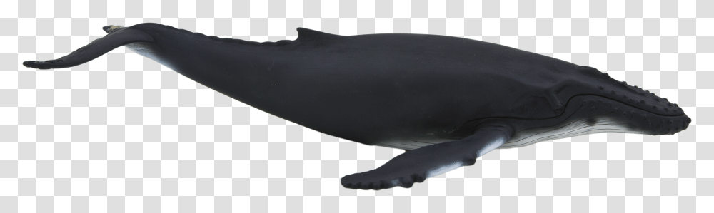 Animal Planet Mojo Humpback Whale, Sea Life, Mammal, Beluga Whale Transparent Png