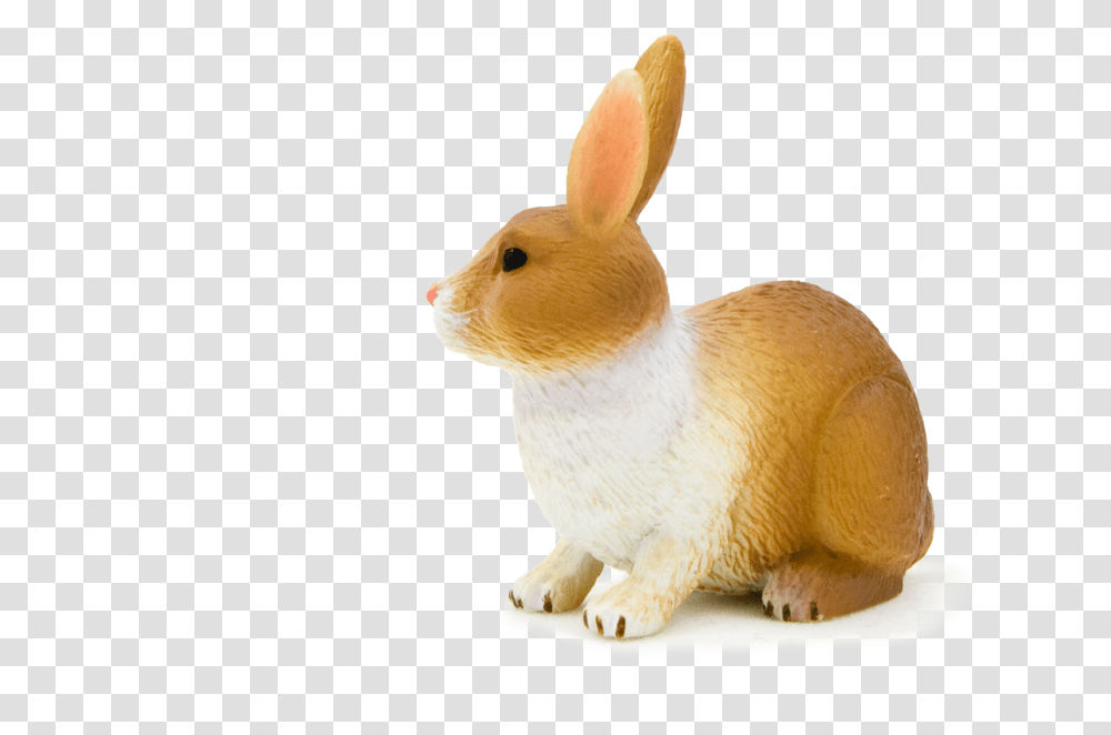 Animal Planet Rabbit Brown And White Full Size, Rodent, Mammal, Bunny, Hare Transparent Png