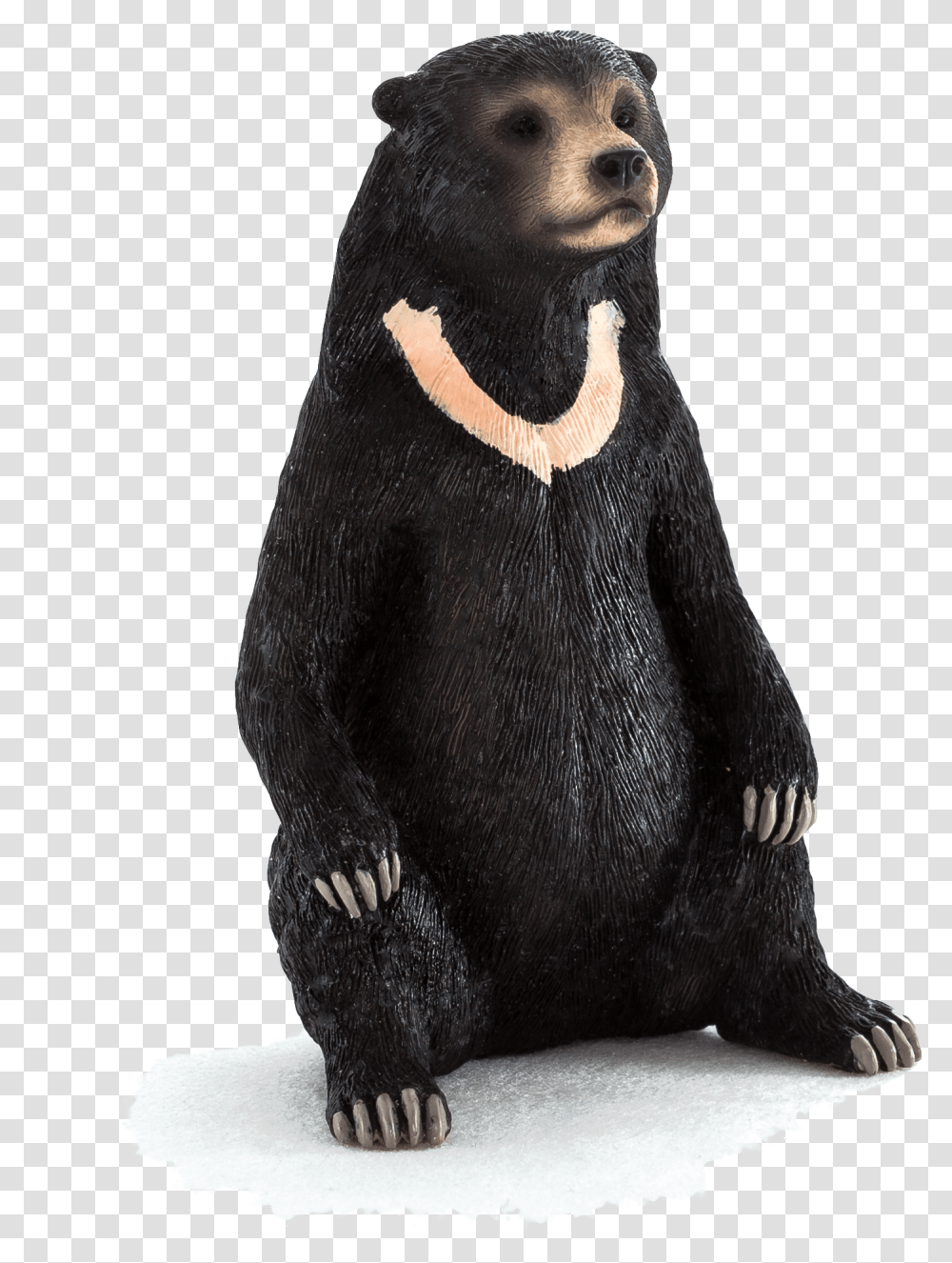 Animal Planet Sun Bear Elephanta Elephanta Sun Bear, Figurine, Toy, Bird, Penguin Transparent Png