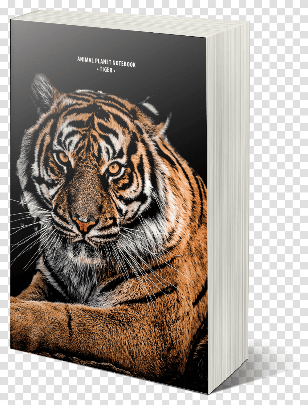 Animal Planet Tiger Wallpaper 4k Iphone, Wildlife, Mammal, Advertisement, Poster Transparent Png