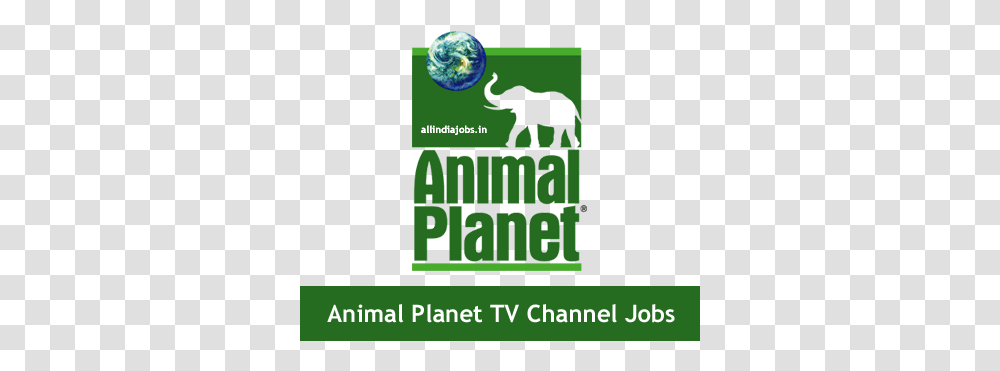 Animal Planet Tv Channel Jobs 2017 Animal Planet, Astronomy, Outer Space, Universe, Sphere Transparent Png