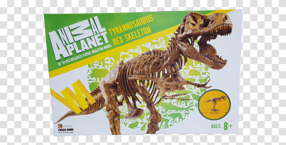 Animal Planet Tyrannosaurus Rex 36