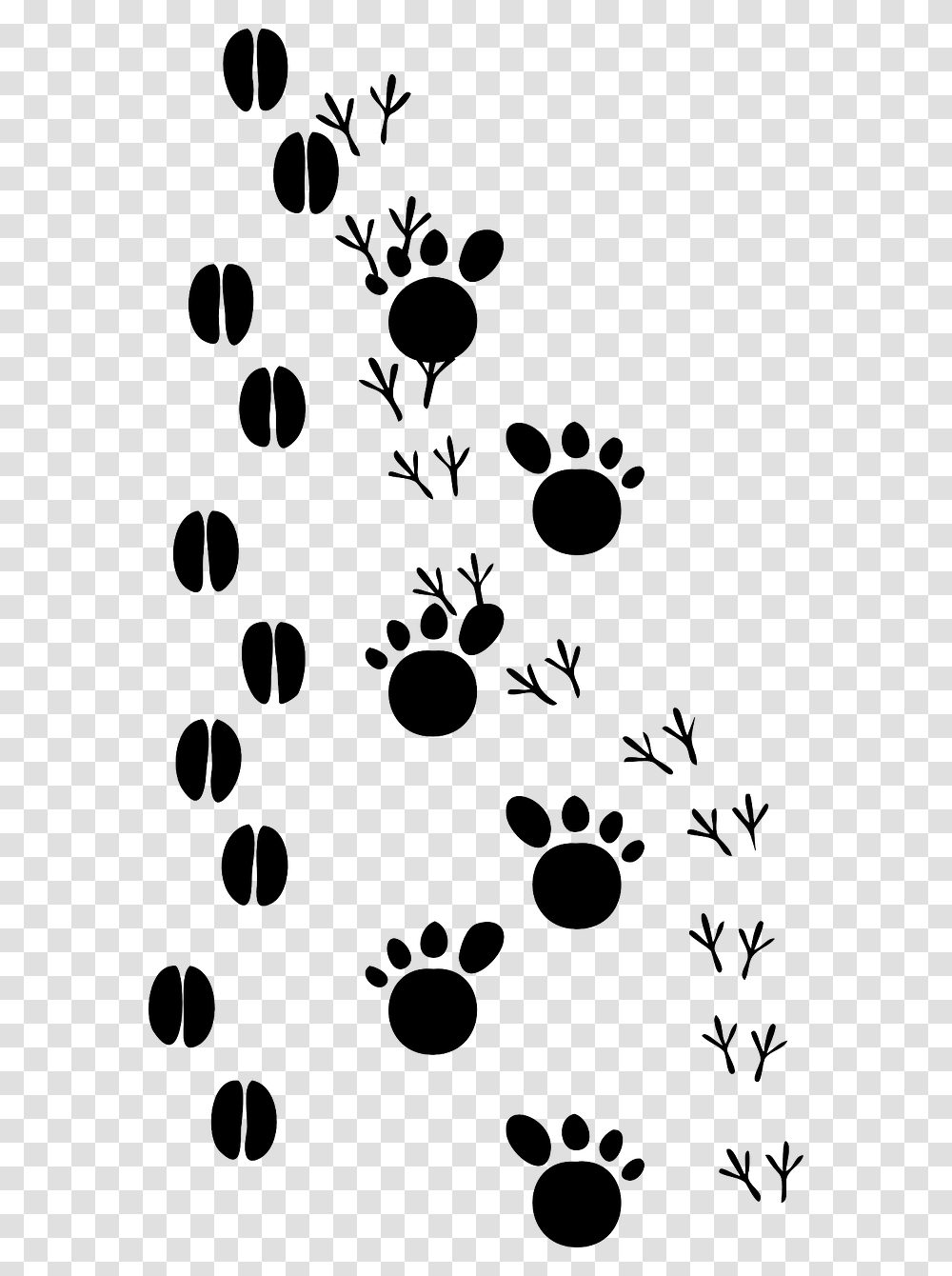 Animal Prints Clip Art, Gray, Sphere Transparent Png