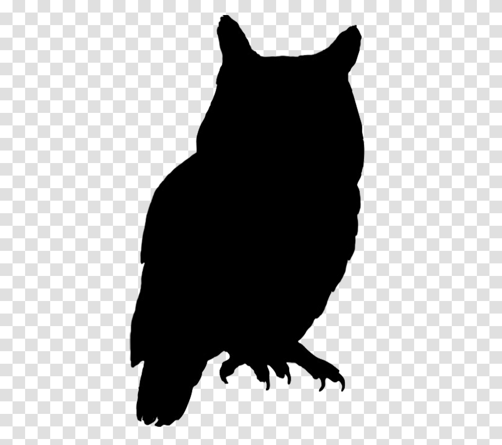 Animal Project, Silhouette, Person, Face, Photography Transparent Png
