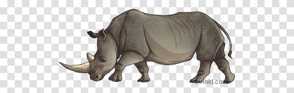 Animal Rhino Black Rhinoceros, Elephant, Wildlife, Mammal, Reptile Transparent Png