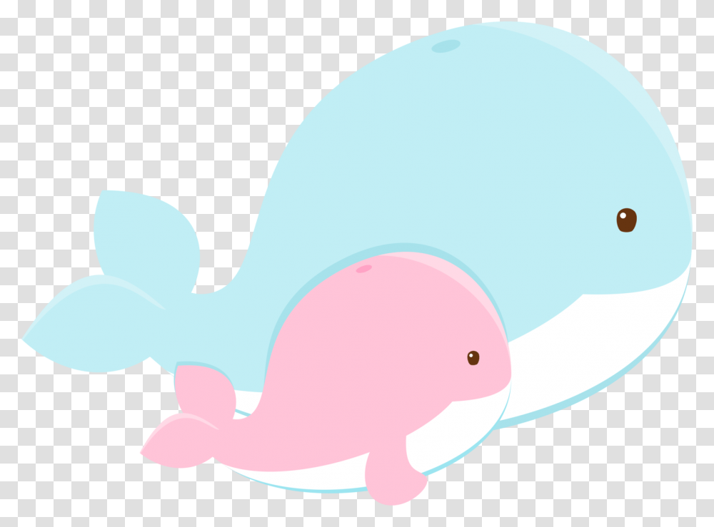 Animal, Sea Life, Mammal, Baseball Cap Transparent Png