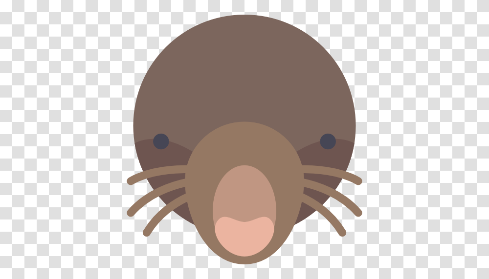 Animal, Sea Life, Mammal, Beaver Transparent Png