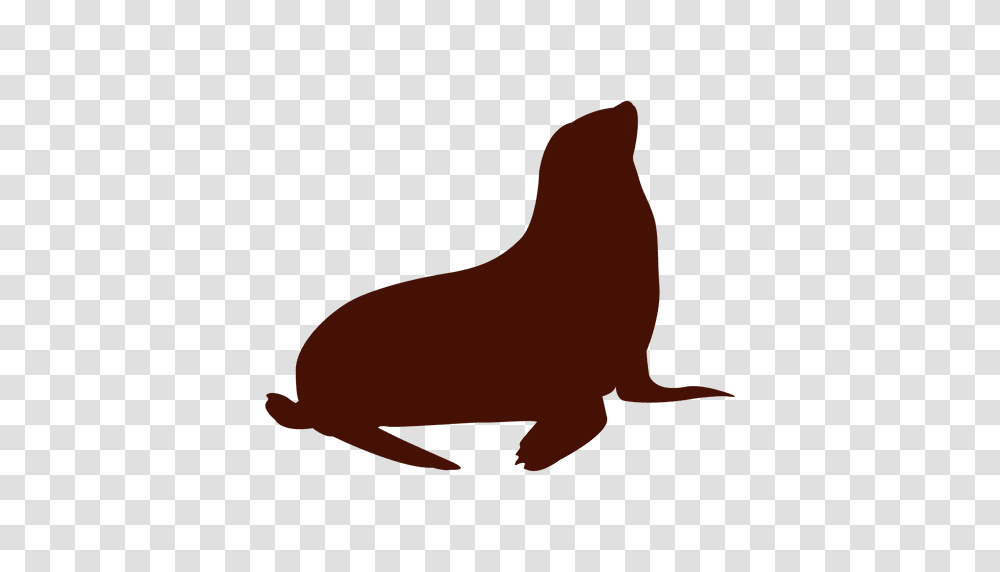 Animal Sealion Silhouette, Mammal, Wildlife, Bird, Rodent Transparent Png