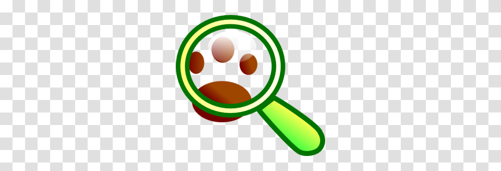 Animal Search Clip Art, Magnifying, Tape Transparent Png