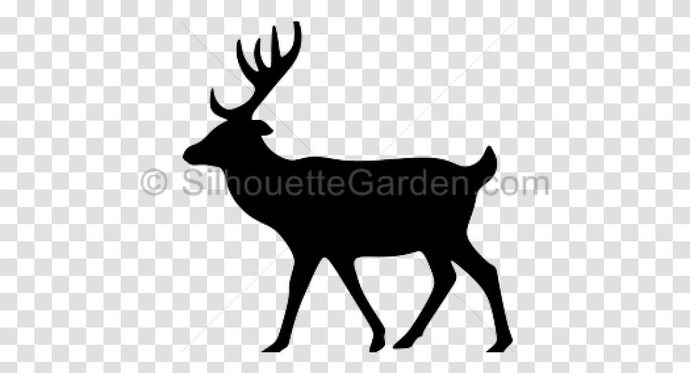 Animal Silhouette Deer, Elk, Wildlife, Mammal, Antelope Transparent Png