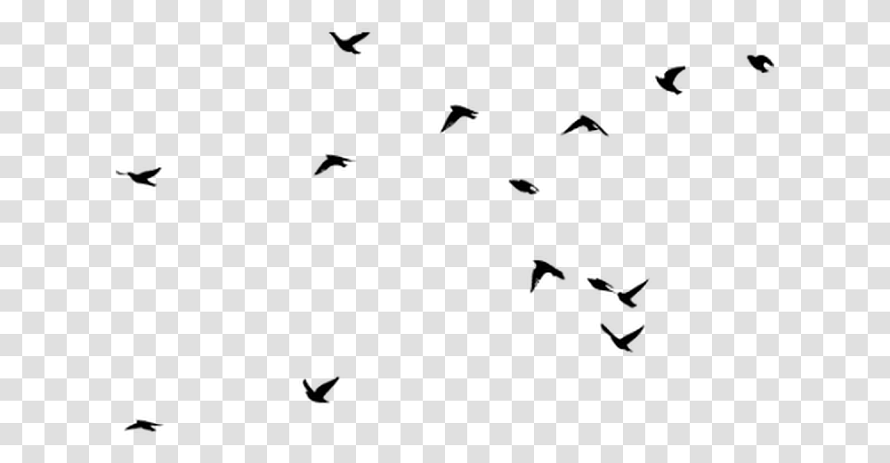 Animal Silhouette Silhouette Birds In The Sky, Outdoors, Gray, Nature, World Of Warcraft Transparent Png