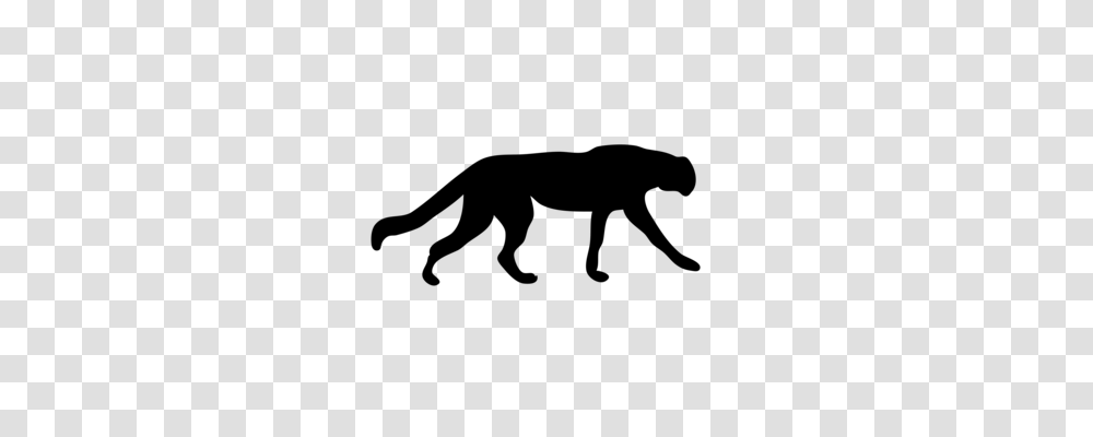 Animal Silhouettes Cat Dog Drawing, Gray, World Of Warcraft Transparent Png