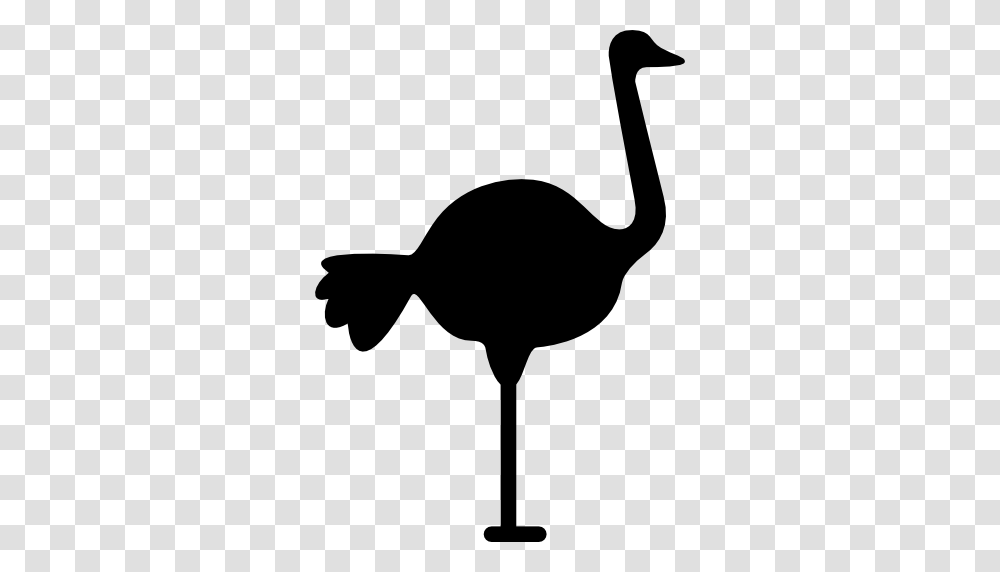 Animal Silhouettes Icon, Bird, Ostrich, Antelope, Wildlife Transparent Png