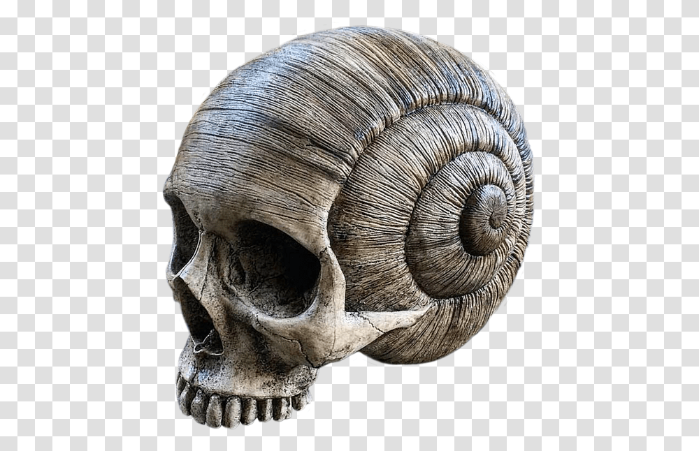 Animal Skull Hd, Elephant, Wildlife, Mammal, Snake Transparent Png