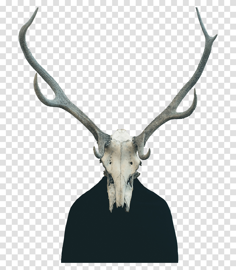 Animal Skull Human Body, Antler, Deer, Wildlife, Mammal Transparent Png