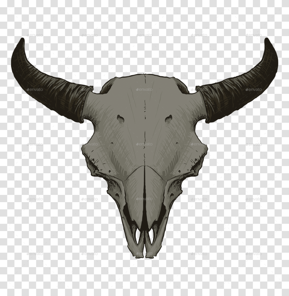 Animal Skull, Mammal, Cattle, Buffalo, Wildlife Transparent Png
