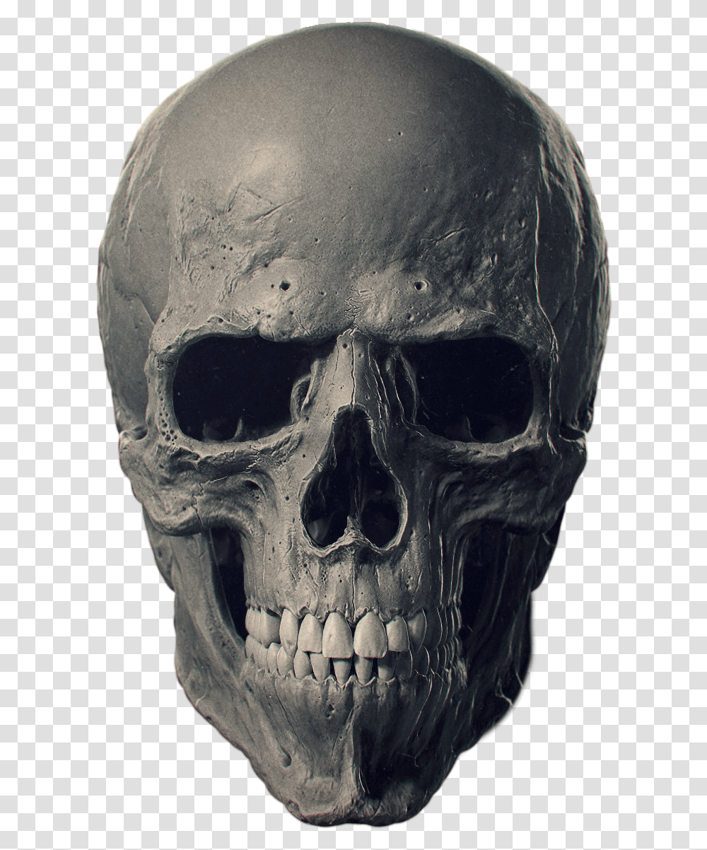 Animal Skulls Bone Human Skeleton Human Head Skull Free, Jaw, Alien, Helmet Transparent Png