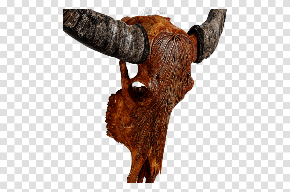 Animal Skulls Cattle Horn Bull, Mammal, Longhorn, Ox, Musical Instrument Transparent Png