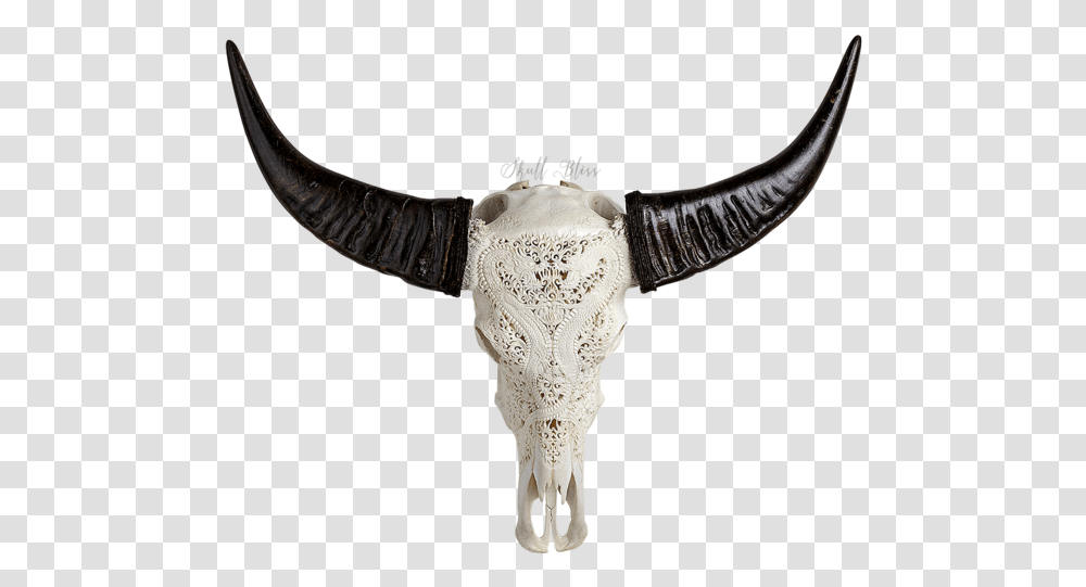 Animal Skulls Horn Bone Head Animal Skull, Cross, Symbol, Ivory, X-Ray Transparent Png