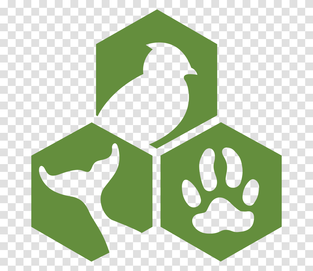 Animal Welfare Institute, Green, First Aid, Logo Transparent Png