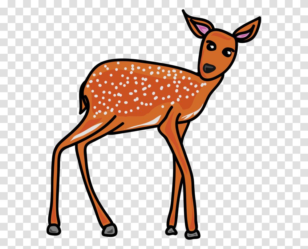 Animal Wildlife Deer Fawn Baby Animal Young Animal Grey Animals Clip Art, Mammal, Bird, Antelope, Impala Transparent Png