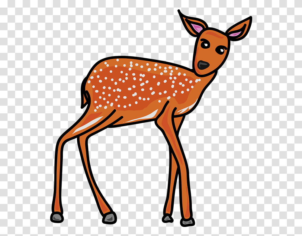 Animal Wildlife Deer Fawn Baby Reh Clipart, Mammal, Bird, Antelope, Impala Transparent Png