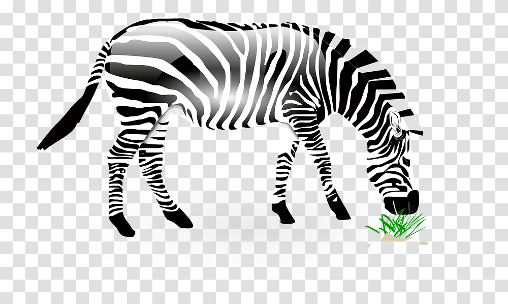 Animal Zebra Wild Wildlife Nature Zoo Africa, Mammal, Tiger Transparent Png