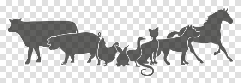 Animales Black Cat, Bird, Dodo, Cow, Cattle Transparent Png