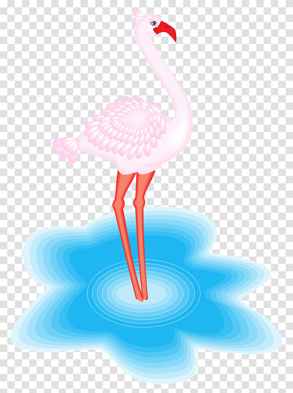 Animales Con Plumas En El Agua, Flamingo, Bird Transparent Png
