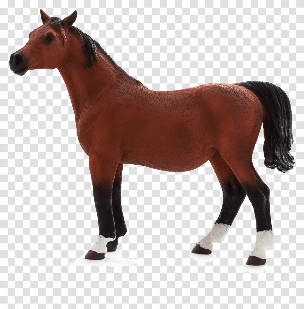 Animalfawn Mare, Horse, Mammal, Colt Horse, Foal Transparent Png