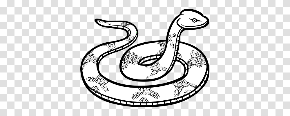 Animals Snake, Reptile, Life Buoy Transparent Png
