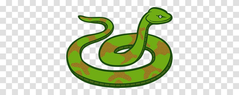 Animals Reptile, Snake Transparent Png