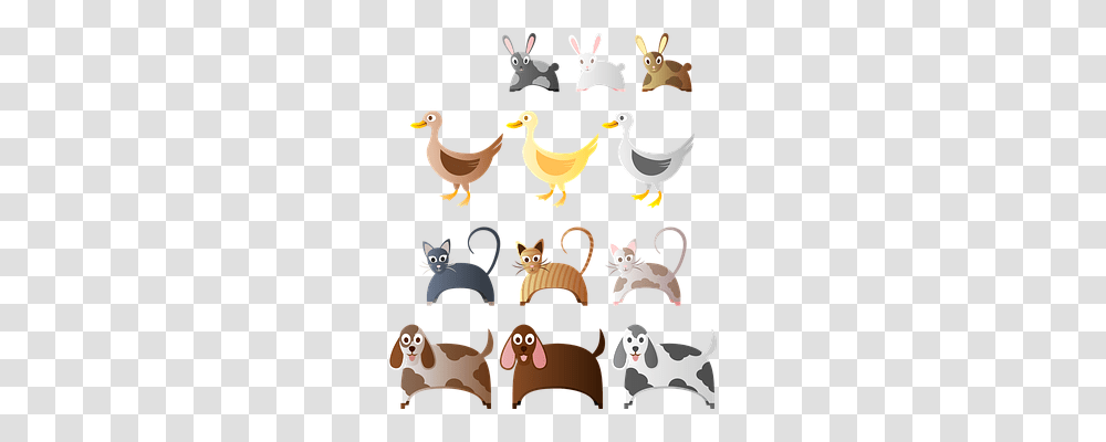 Animals Bird, Hen, Chicken, Poultry Transparent Png