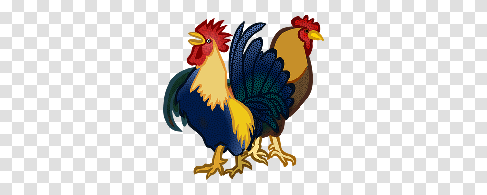 Animals Rooster, Chicken, Poultry, Fowl Transparent Png