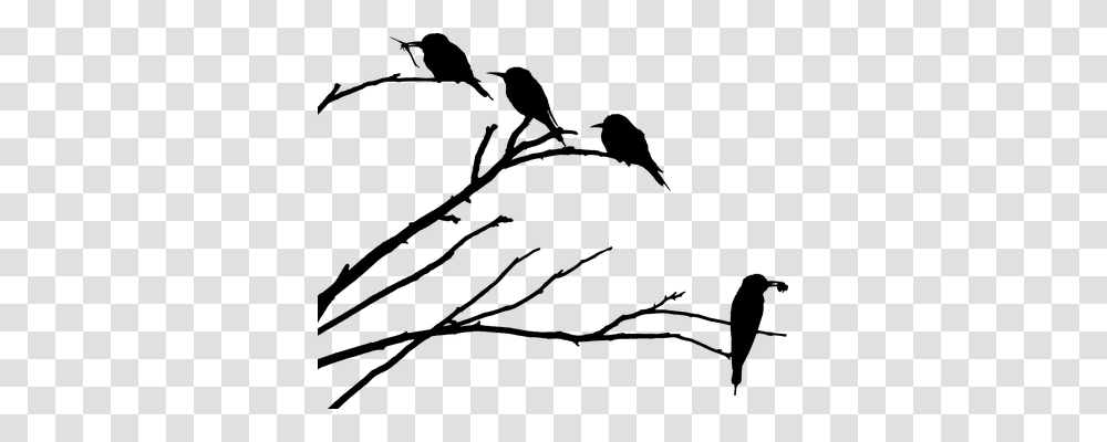 Animals Gray Transparent Png