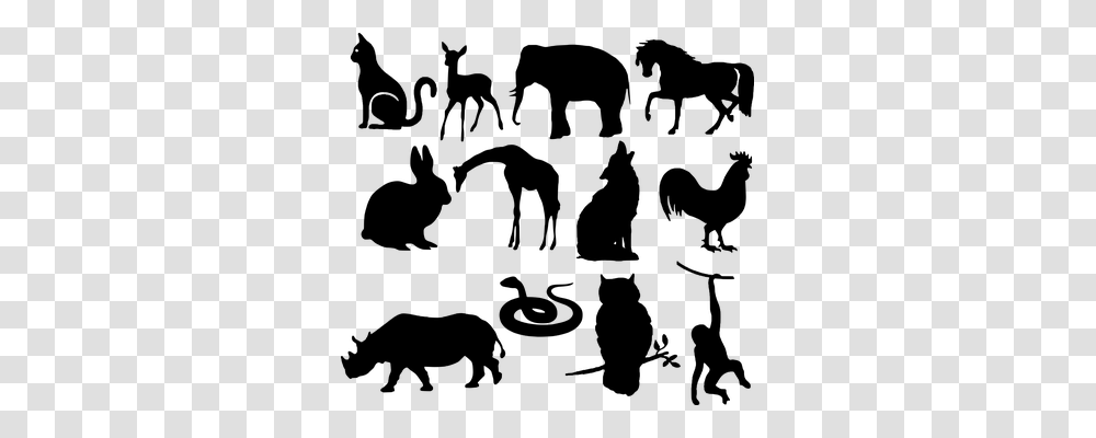 Animals Gray Transparent Png