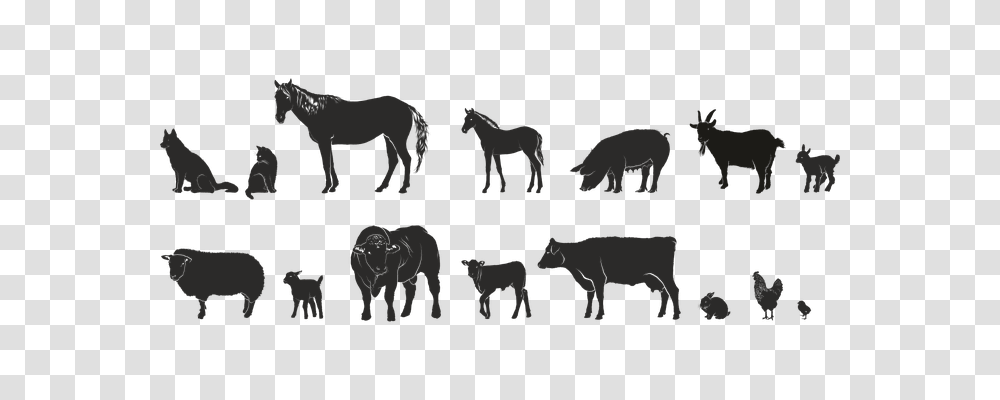 Animals Text, Mammal, Stencil, Silhouette Transparent Png
