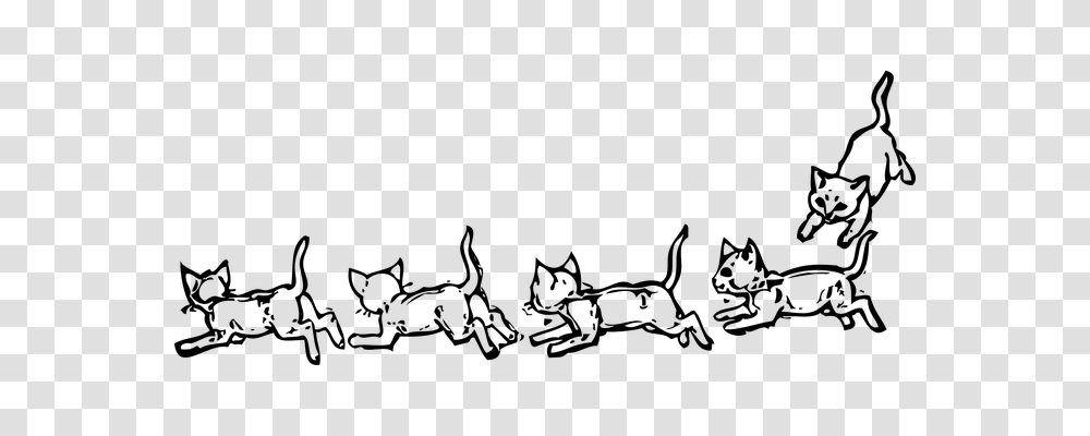 Animals Gray Transparent Png