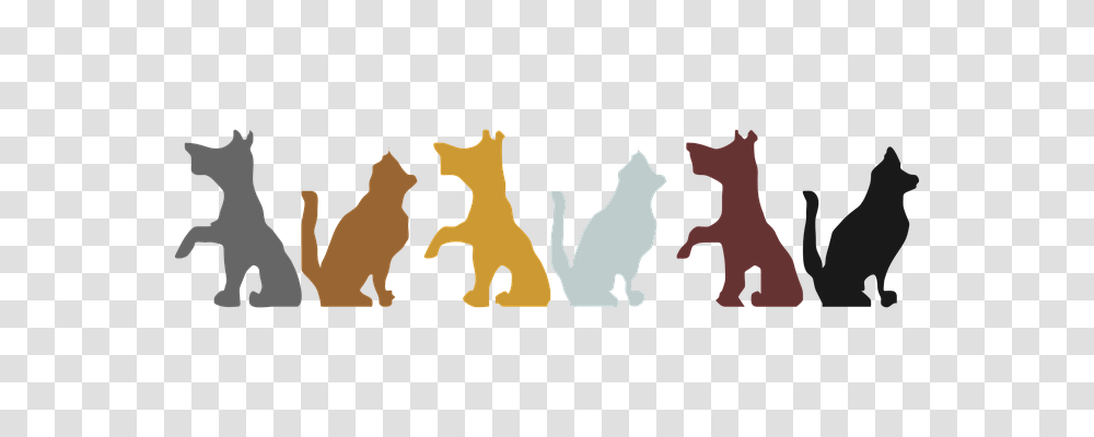 Animals Person, Crawling Transparent Png