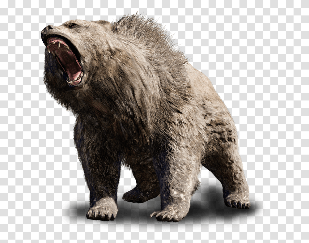 Animals Antagonist Great Scar Bear Steemit, Wildlife, Mammal, Brown Bear Transparent Png