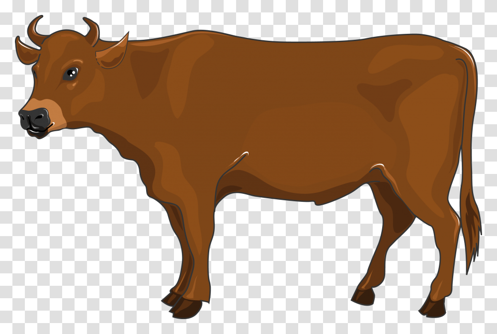 Animals Archives, Cow, Cattle, Mammal, Dairy Cow Transparent Png