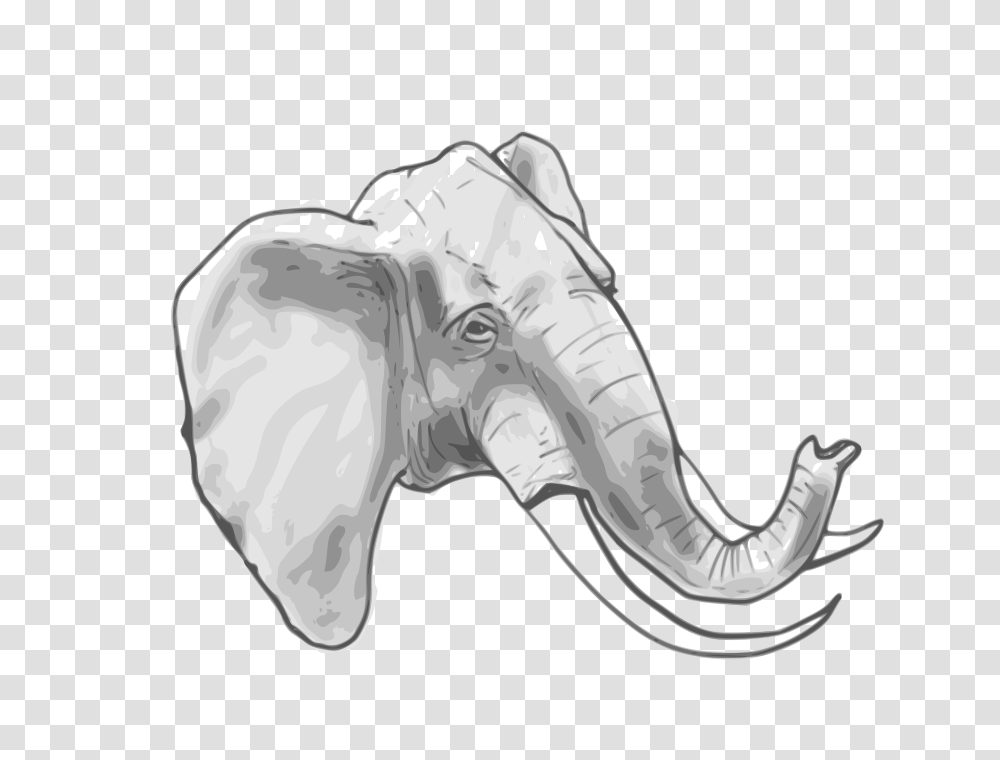 Animals, Drawing, X-Ray Transparent Png