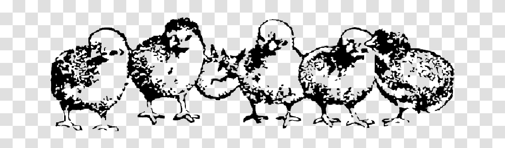 Animals Baby Farm Birds Rooster Hen Chicken Baby Chickens Clip Art Black And White, Stencil, Doodle Transparent Png