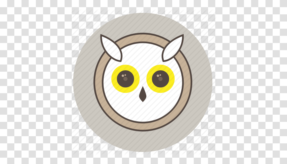 Animals Big Eyes Cute Face Night Owl Icon, Bird, Mammal Transparent Png