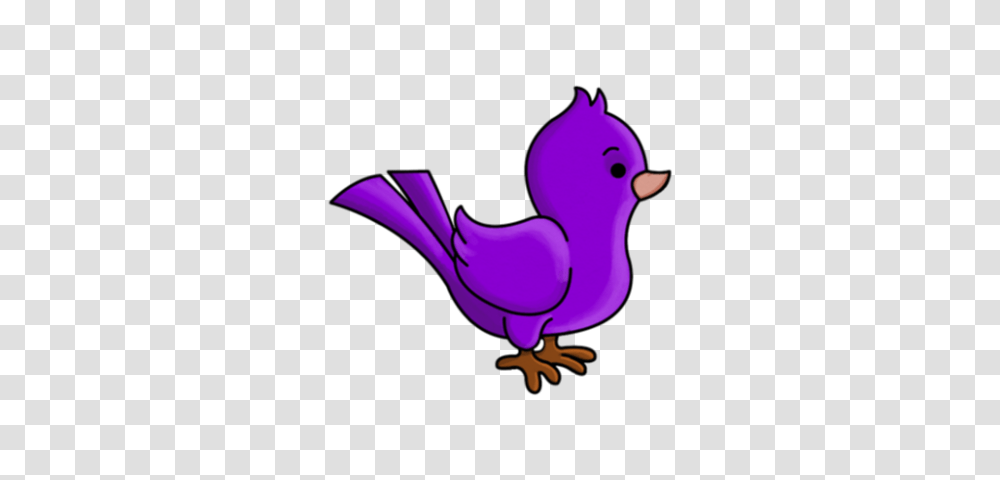 Animals, Bird, Fowl, Poultry, Chicken Transparent Png